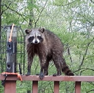 Meet your Posher, Lynn